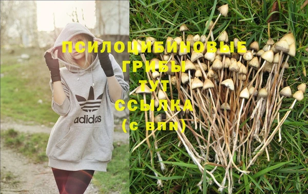 МДПВ Белокуриха