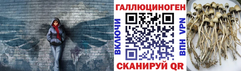 Псилоцибиновые грибы мицелий  Саяногорск 